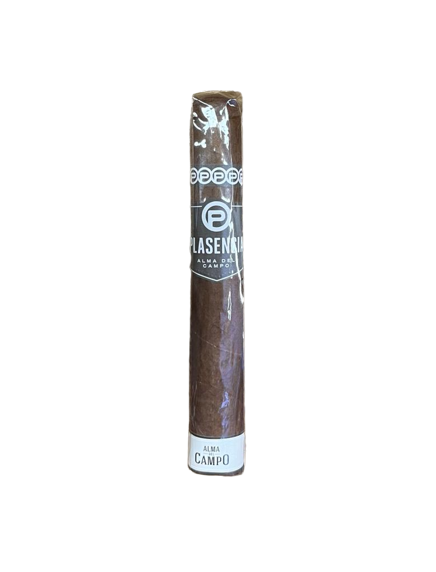 Cigar Plasencin Alma Del Campo - Gordo