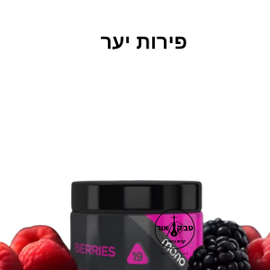 MONO 60g BERRIES – פירות יער