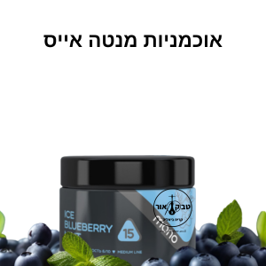 MONO 60g ICE BLUEBERRY MINT  – אוכמניות מנטה אייס