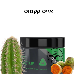 MONO 60g ICE CACTUS – אייס קקטוס