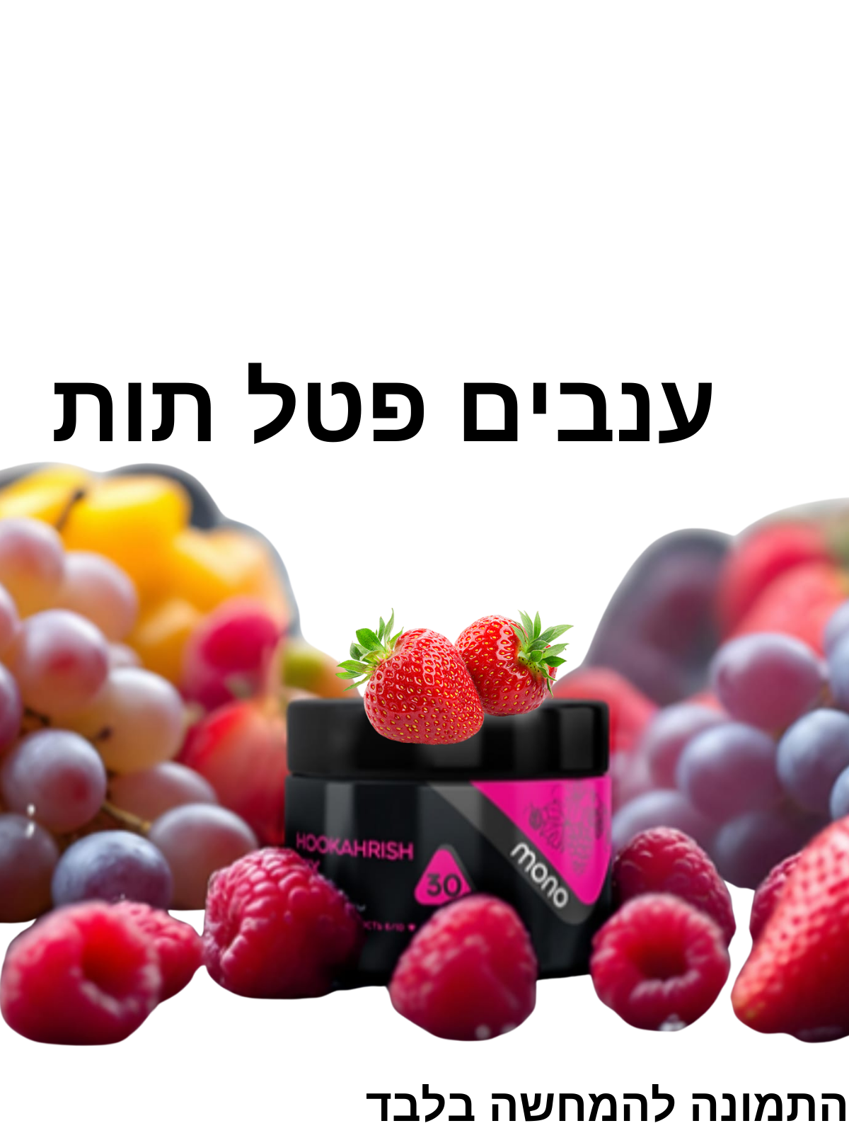 MON0-250g-HOOKAHRISH-Mix-–-ענבים-פטל-ותות.png MONO 250g - ענבים פטל תות – תמונה 1