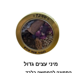 מיני עצים גדול